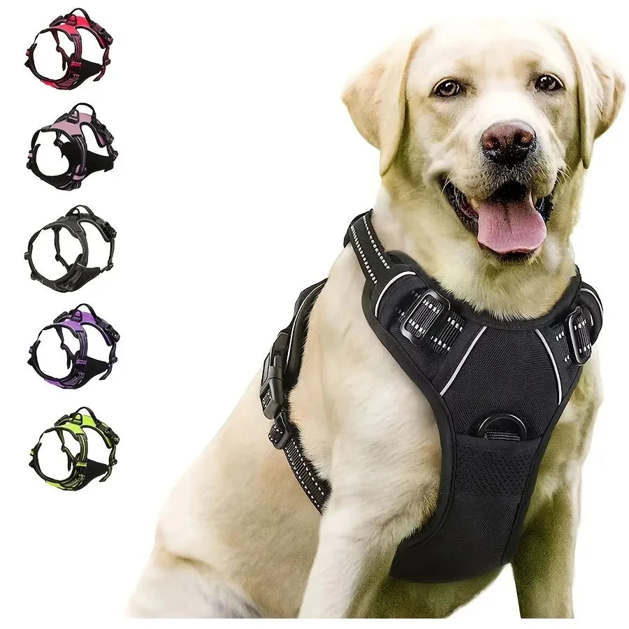 Dog Collars MaxControl
