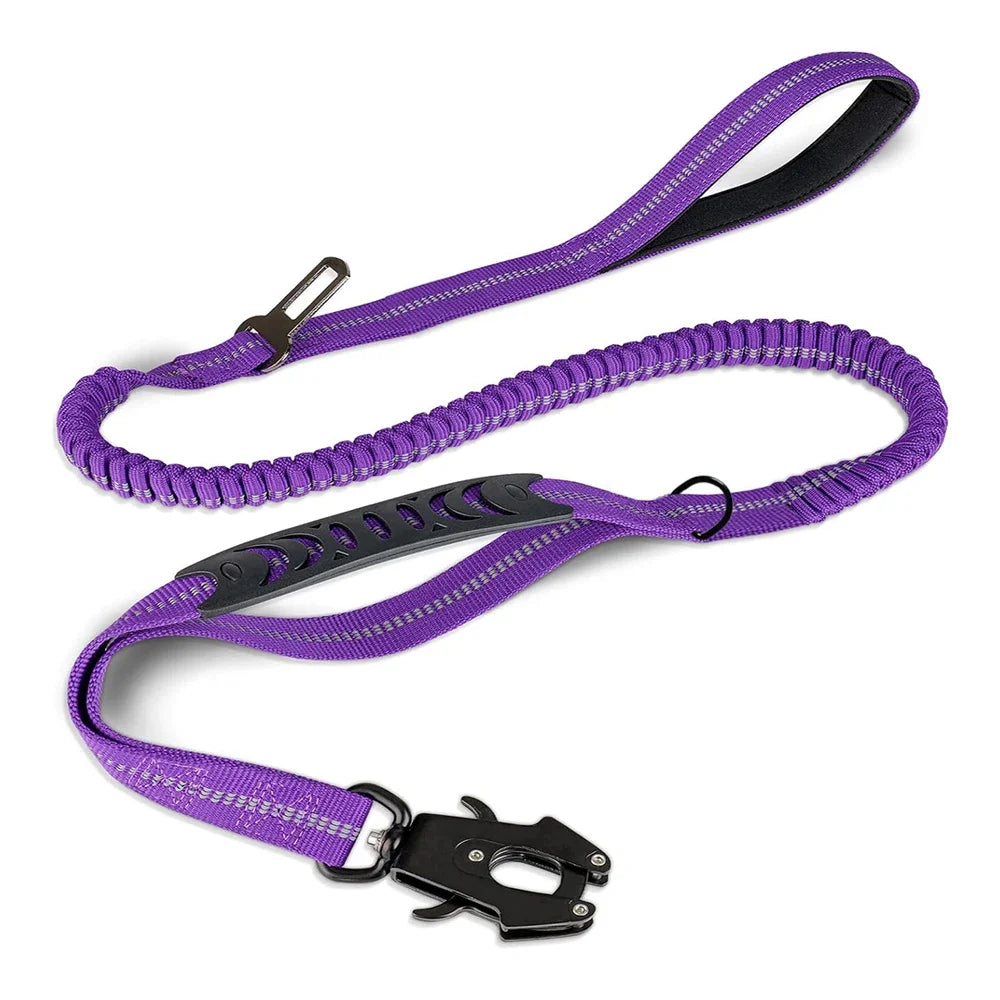DualSafe Tactical Leash System