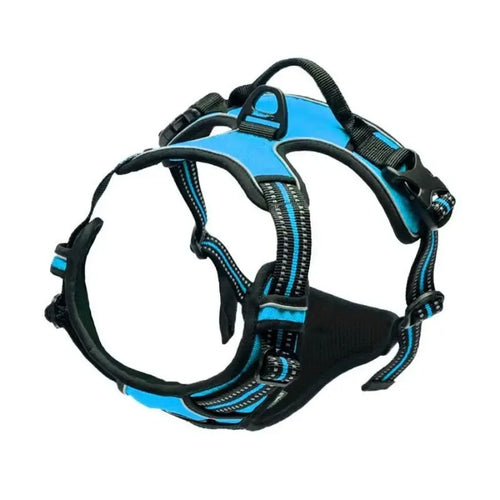 Dog Collars MaxControl