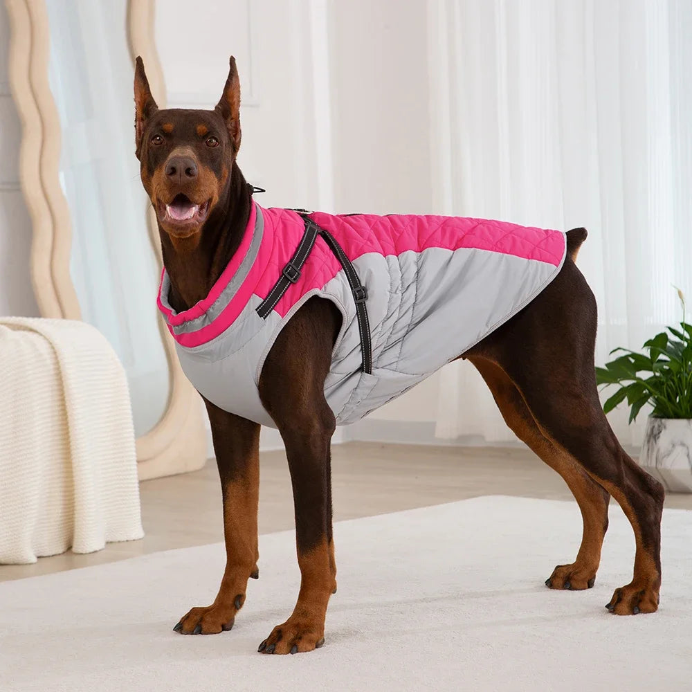 StormGuard 3-in-1 Dog Jacket