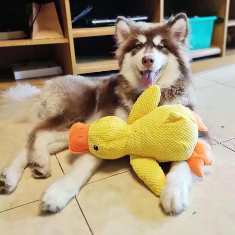 CalmQuack – Squeaky Plush Duck Toy for Anxious Dogs