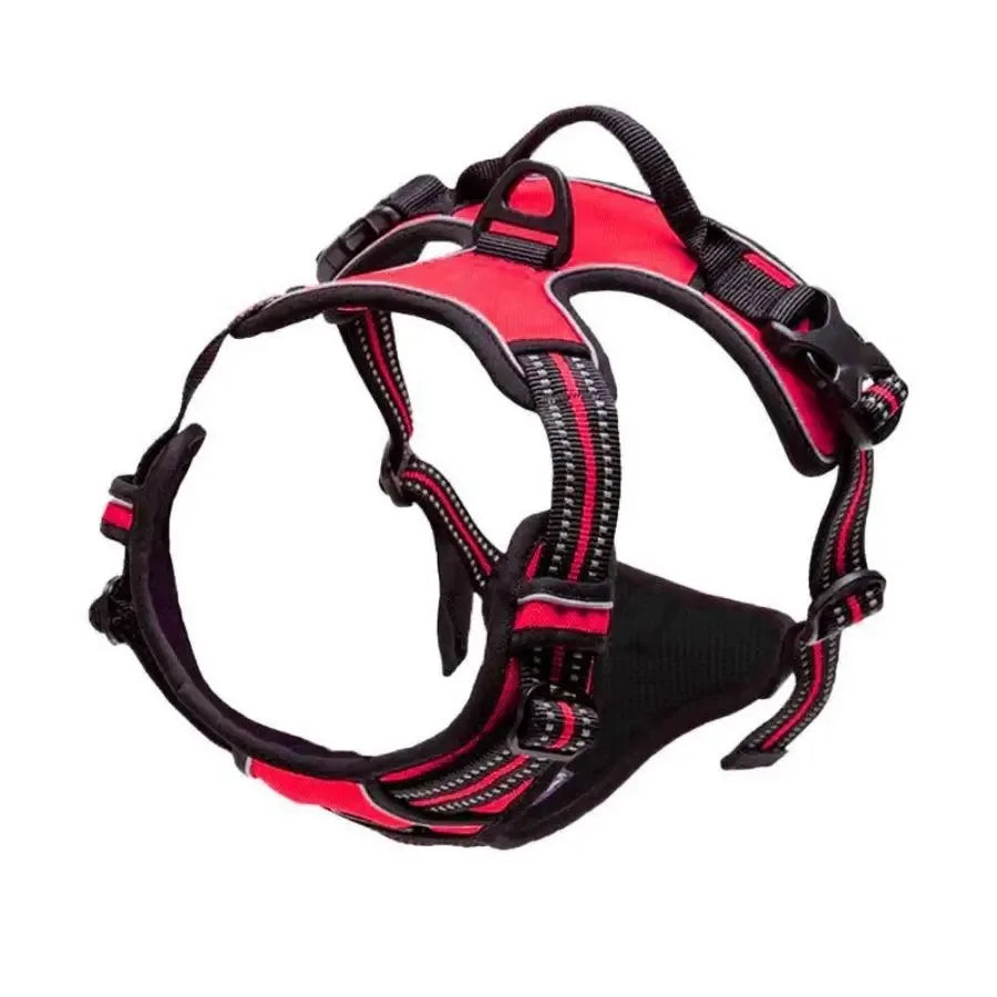 Dog Collars MaxControl