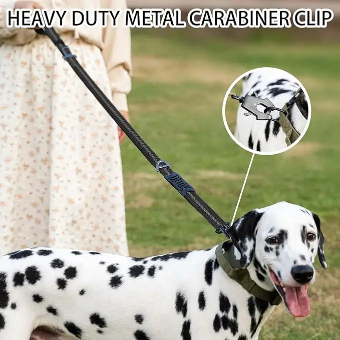 DualSafe Tactical Leash System