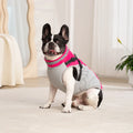 StormGuard 3-in-1 Dog Jacket