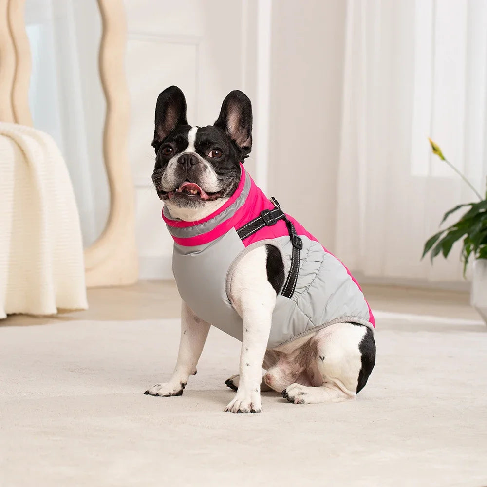 StormGuard 3-in-1 Dog Jacket