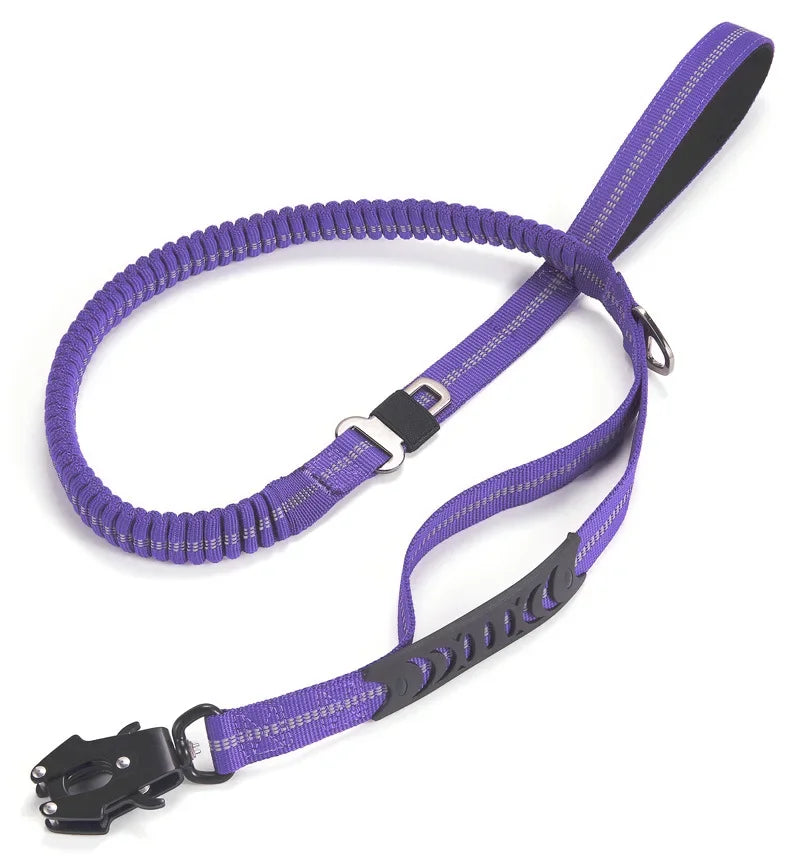 DualSafe Tactical Leash System