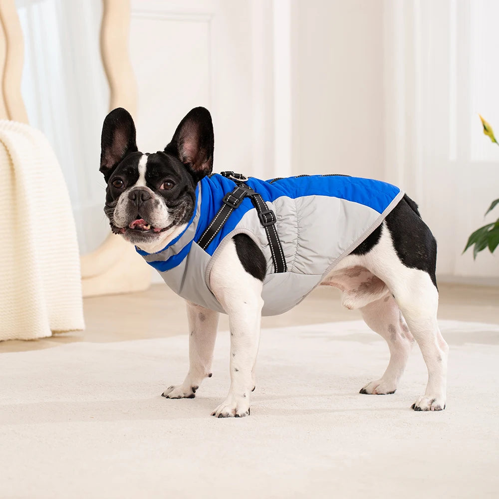 StormGuard 3-in-1 Dog Jacket