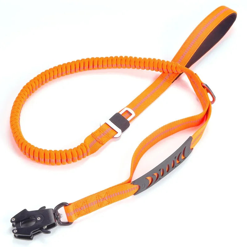 DualSafe Tactical Leash System