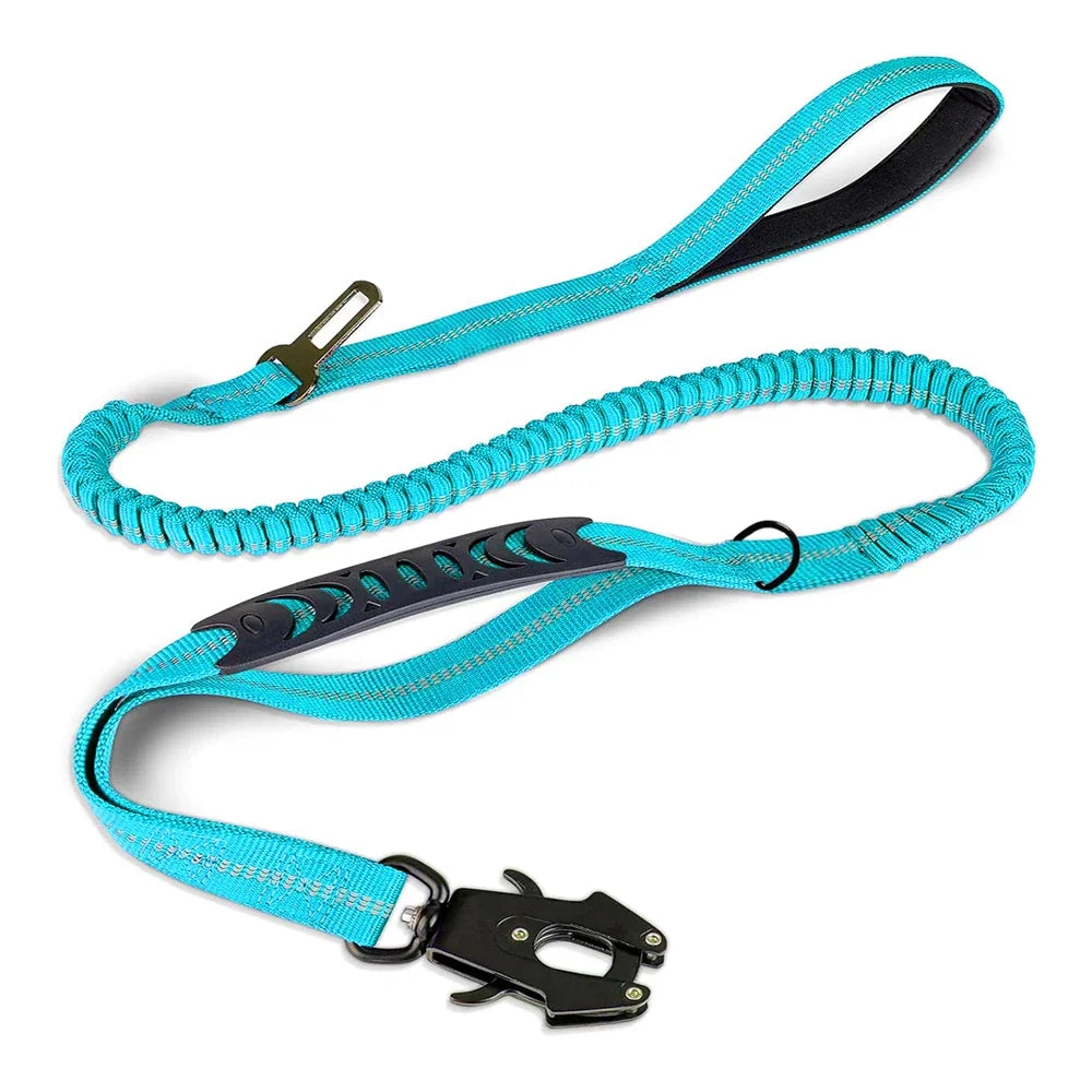 DualSafe Tactical Leash System