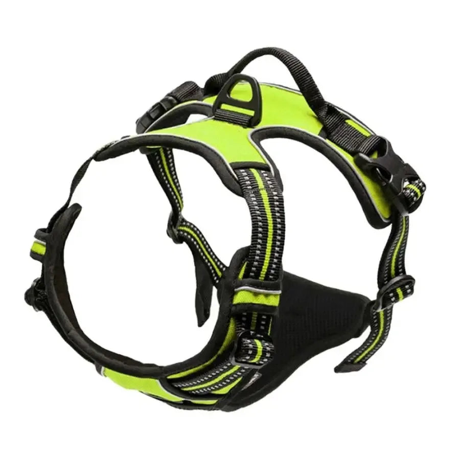 Dog Collars MaxControl