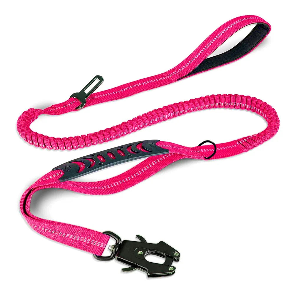 DualSafe Tactical Leash System