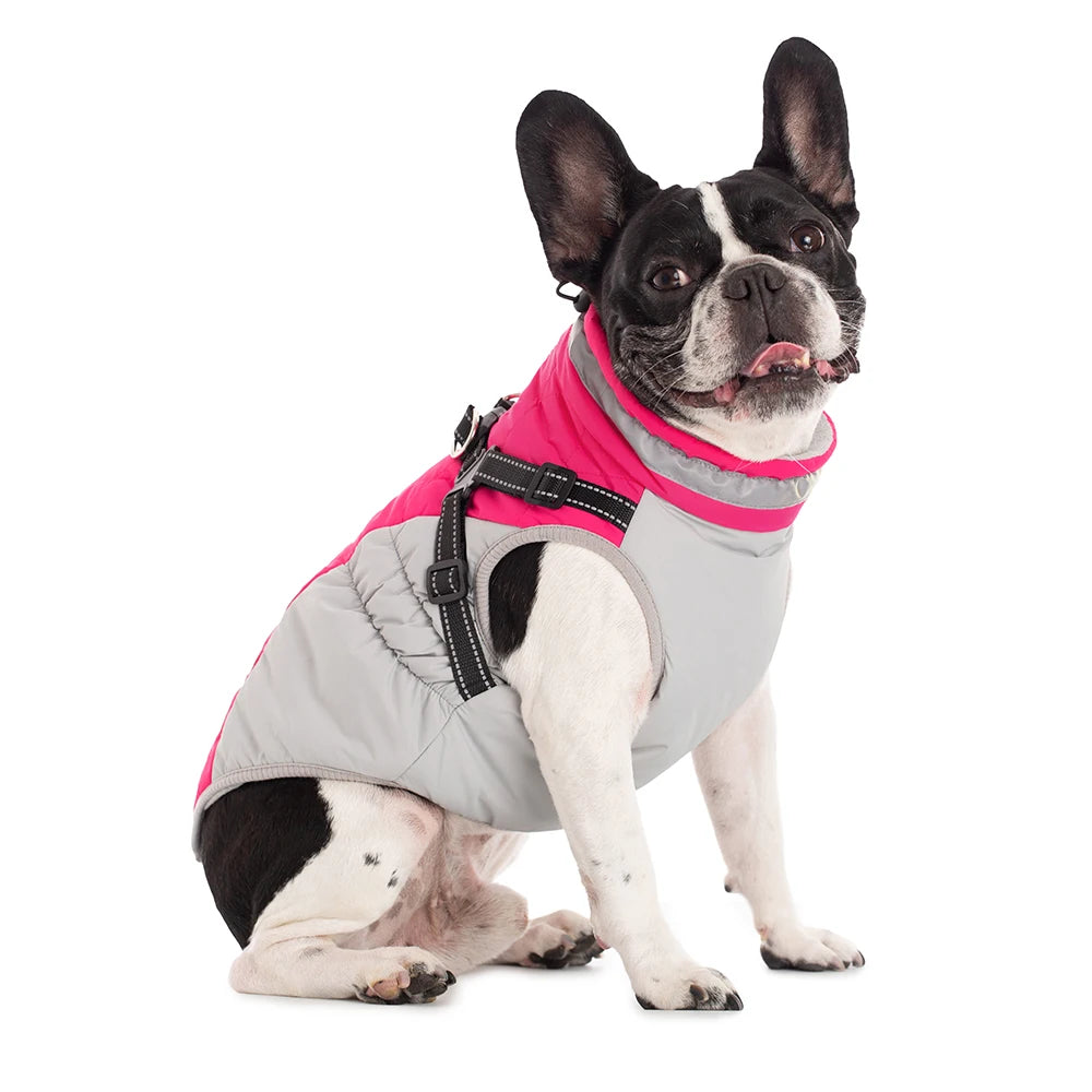 StormGuard 3-in-1 Dog Jacket