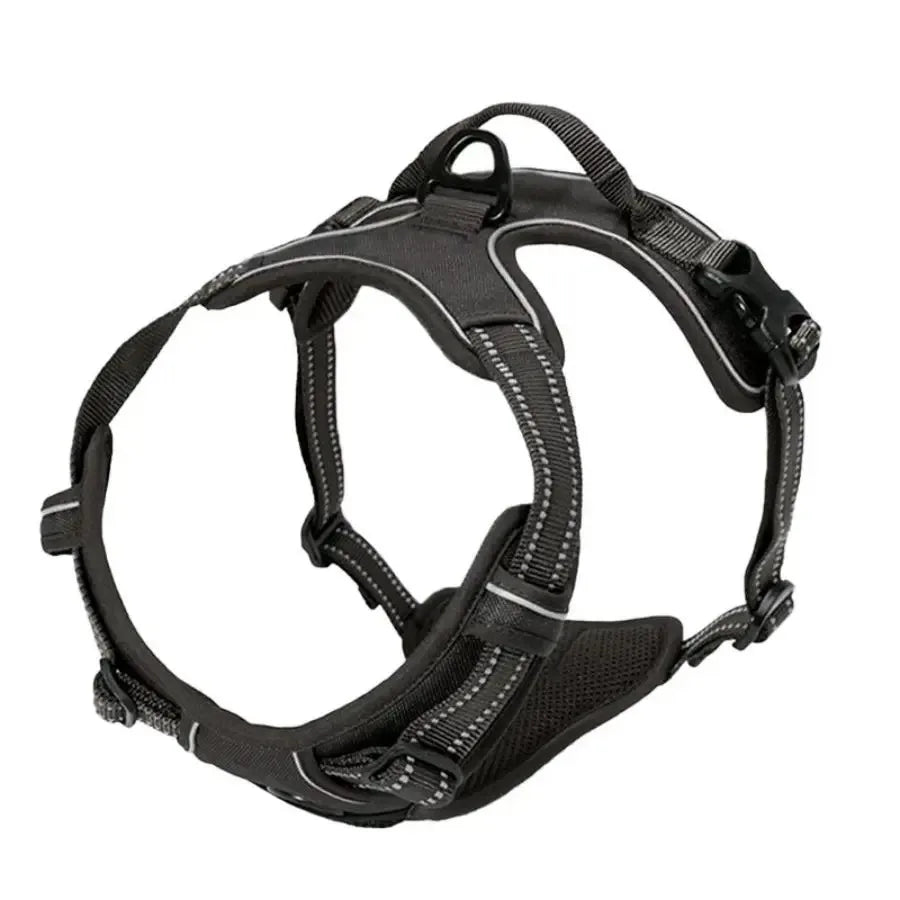 Dog Collars MaxControl