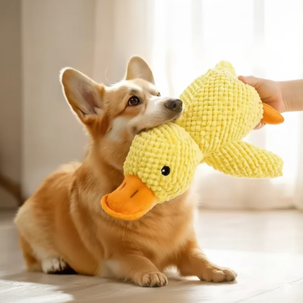 CalmQuack – Squeaky Plush Duck Toy for Anxious Dogs
