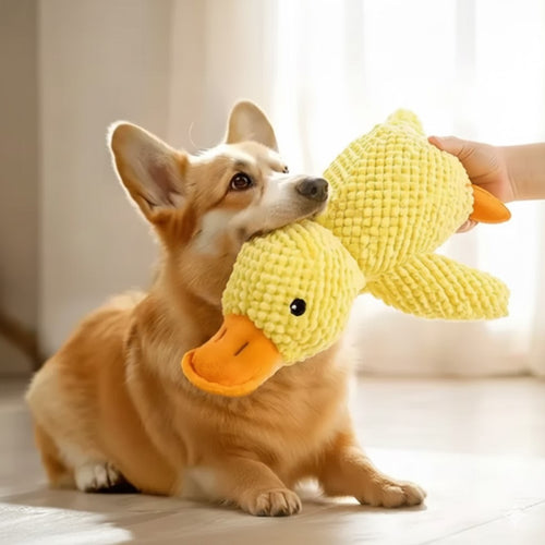 CalmQuack – Squeaky Plush Duck Toy for Anxious Dogs